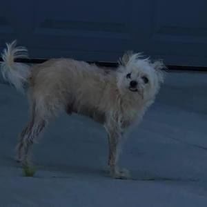 Meet your Posher, Richard